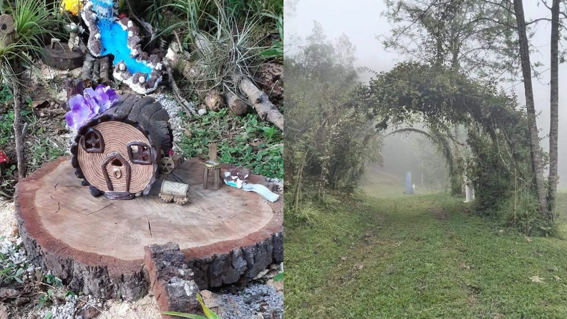 Las Hadas Bosque de Niebla